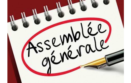 LIEN ASSEMBLEE GENERALE DE LA SNM EN VISIO DIMANCHE 25 AVRIL 10H